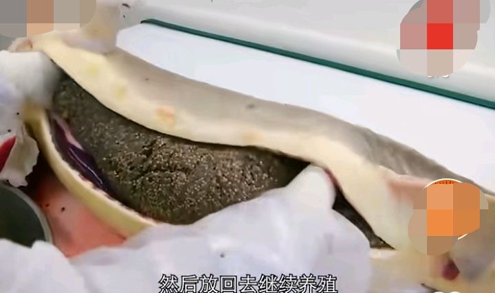 世界顶级黑黄金鱼子酱,最顶级黄金鱼子酱多少钱