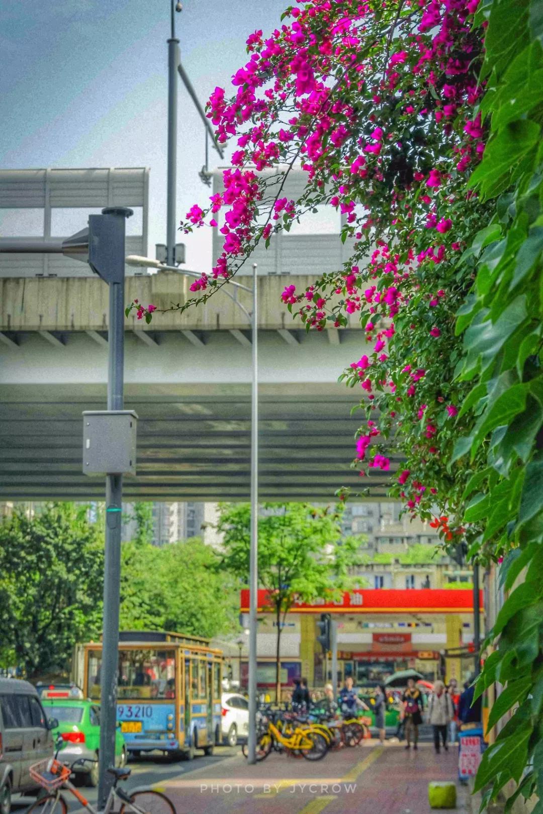 成都租房哪个区最便宜,成都租房攻略50个小技巧