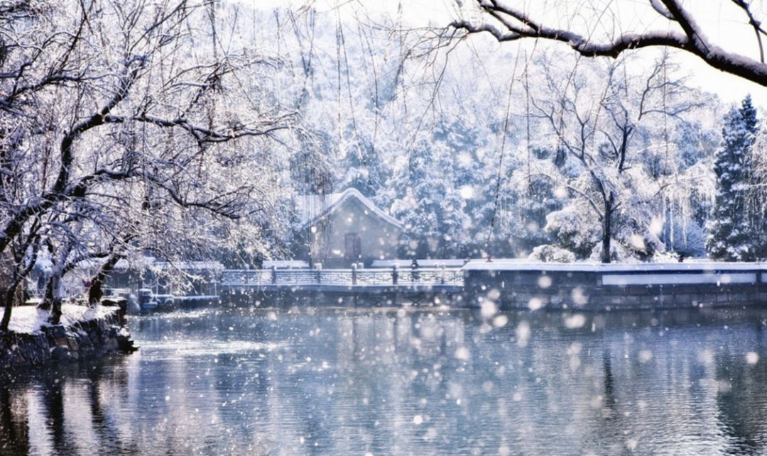 「诗词鉴赏」春雪正纷纷,古诗词里的春雪,纷纷扬扬