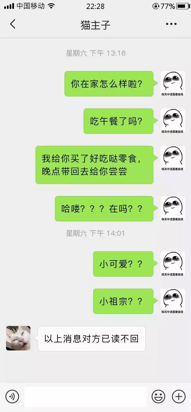 跟我家猫发微信，就像跟渣男在聊天
