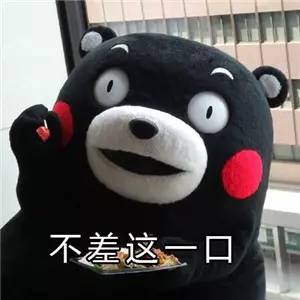 急到秃头，猫主子不吃不喝闹绝食，这可怎么办