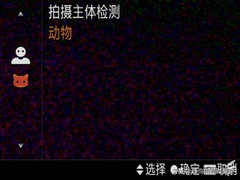 今年会出哪些全画幅微单,最强微单全画幅是r5吗