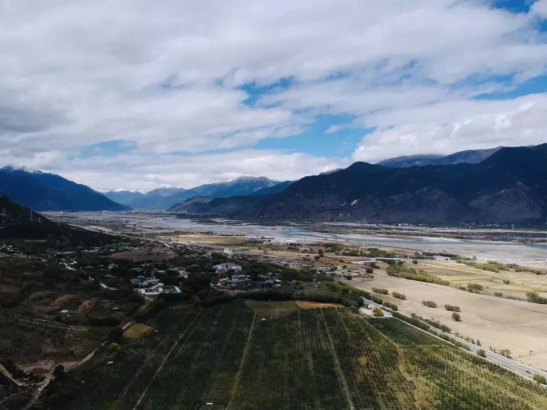 这种黑苹果68元一个，种植效益怎么样？