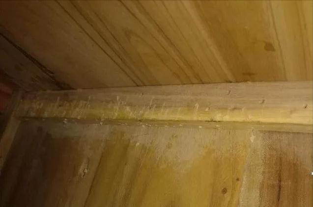 庄寨木业布局,庄寨实木木材