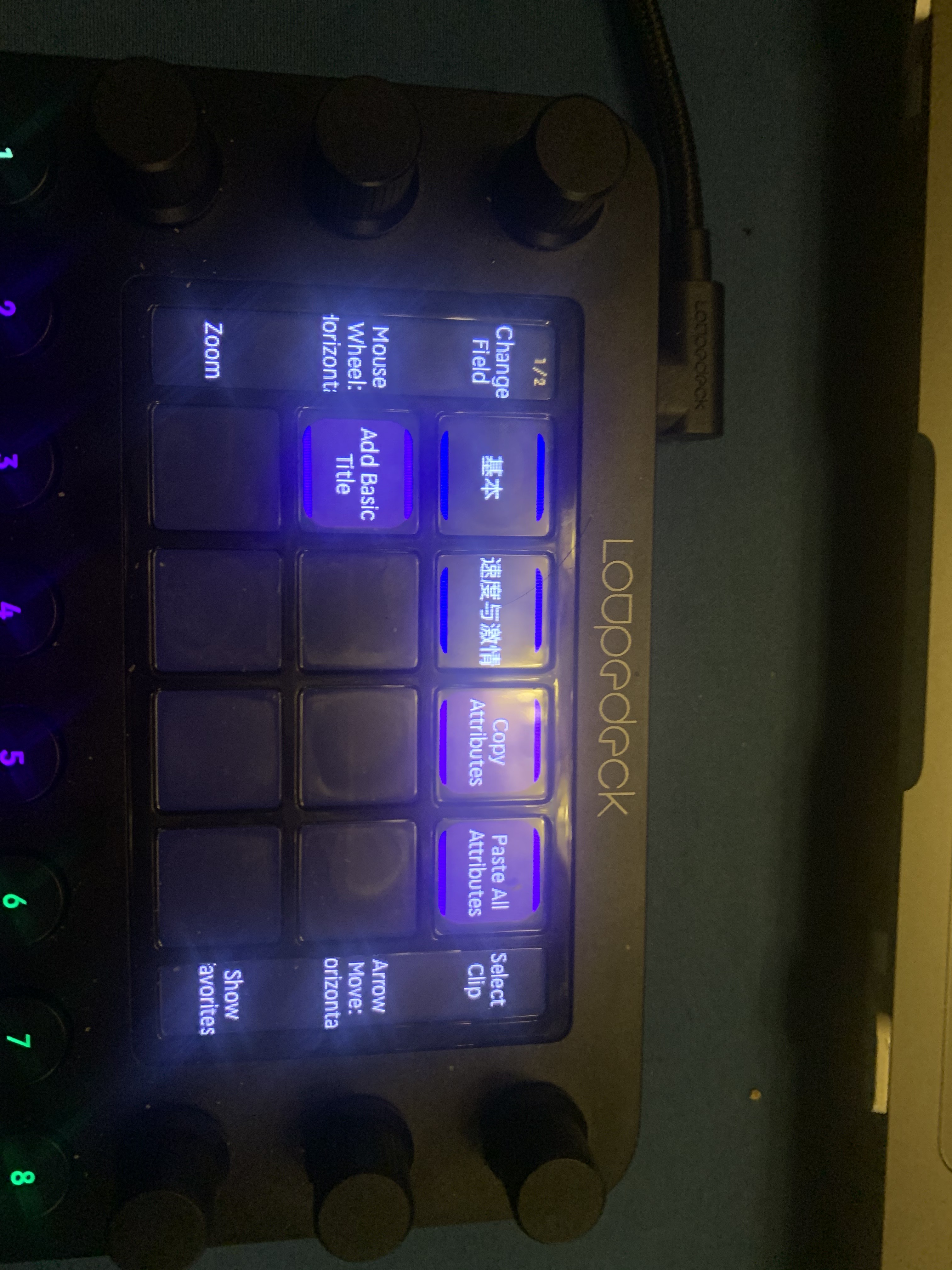 萌育感·U宝的一周(2月22日~2月28日)