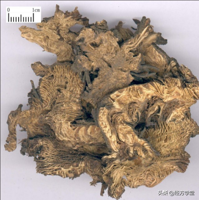 蒲辅周同时期的中医,蒲辅周名医名方