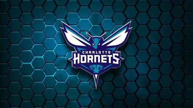 各大nba球星logo,nba五大招牌