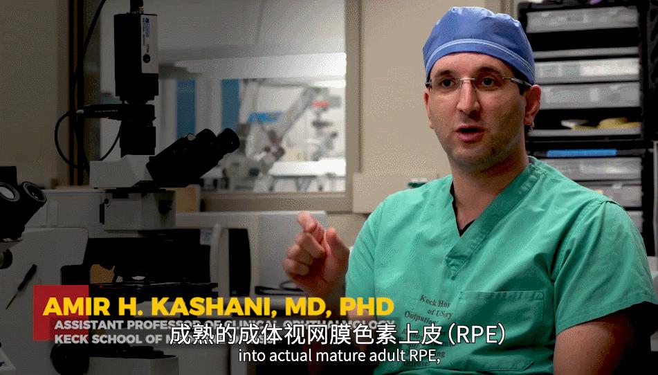 全球超过22亿人视力受损，干细胞疗法逆转过去无法治愈的失明