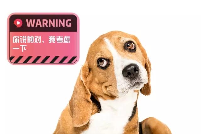 冬天饭菜保温神器哪种品牌好,保温神器冬天必备热菜