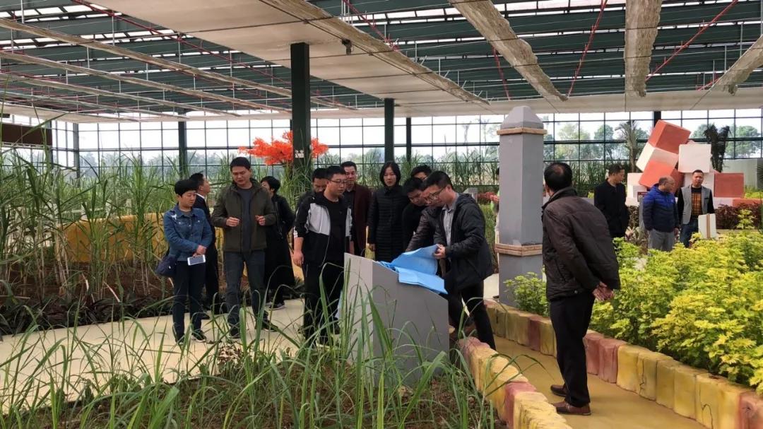 中农富玉大事记,中农富玉未来发展趋势