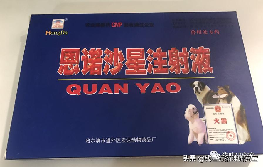 小猫拉稀原因分析,小猫跑肚拉稀怎么办最快最有效