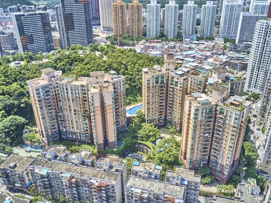 翠园中学东晓分校学区,翠园中学东晓校区学区划分图