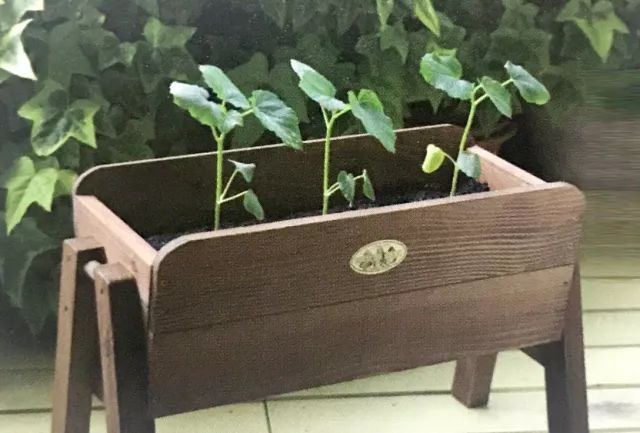 怎么在地里种秋葵,秋葵怎么种植在阳台上