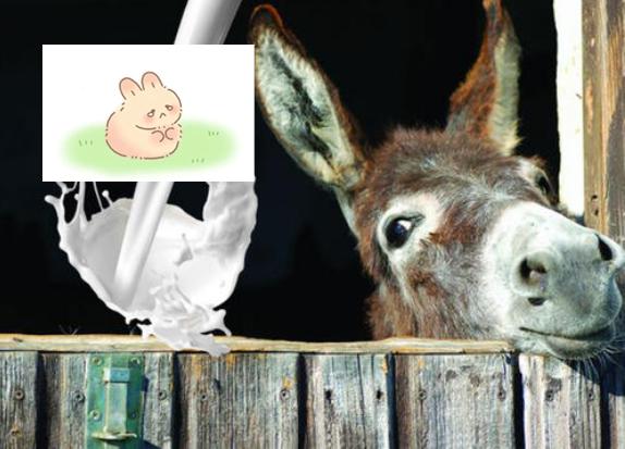 母乳牛奶羊奶营养价值对比表,羊奶和牛奶哪个营养更全面