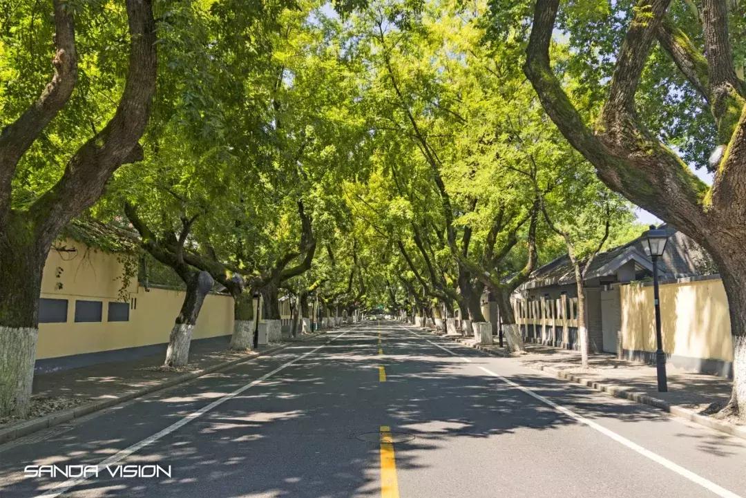 灵谷寺萤火虫7月,灵谷寺萤火虫目前还有吗