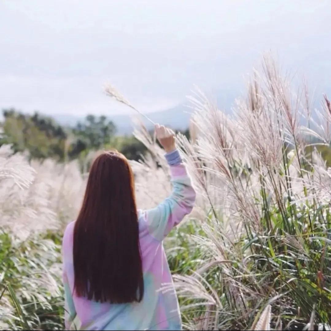 黑月光照心上:他比任何人都希望她能幸福,哪怕这幸福不是他给的