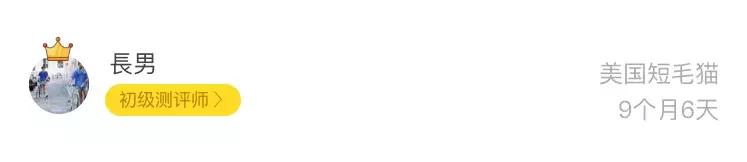 最新猫罐头推荐排行榜,什么猫罐头好养又便宜