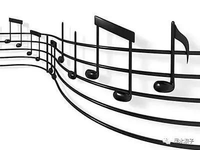 为什么弹吉他的手都很好看,为什么弹钢琴的人手很好看