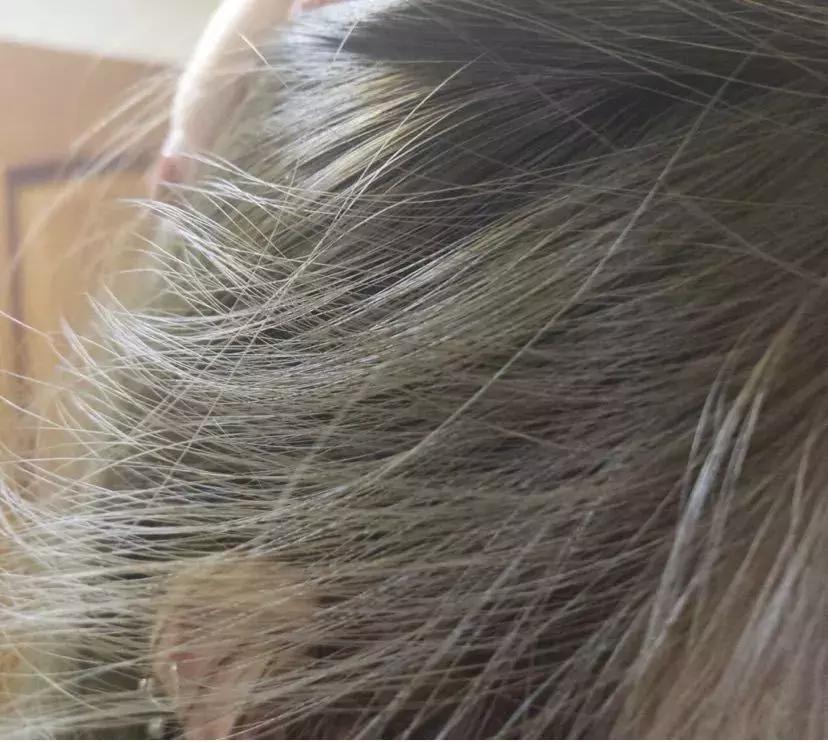 洗发水推荐控油蓬松樱花,claynal樱花洗发水推荐