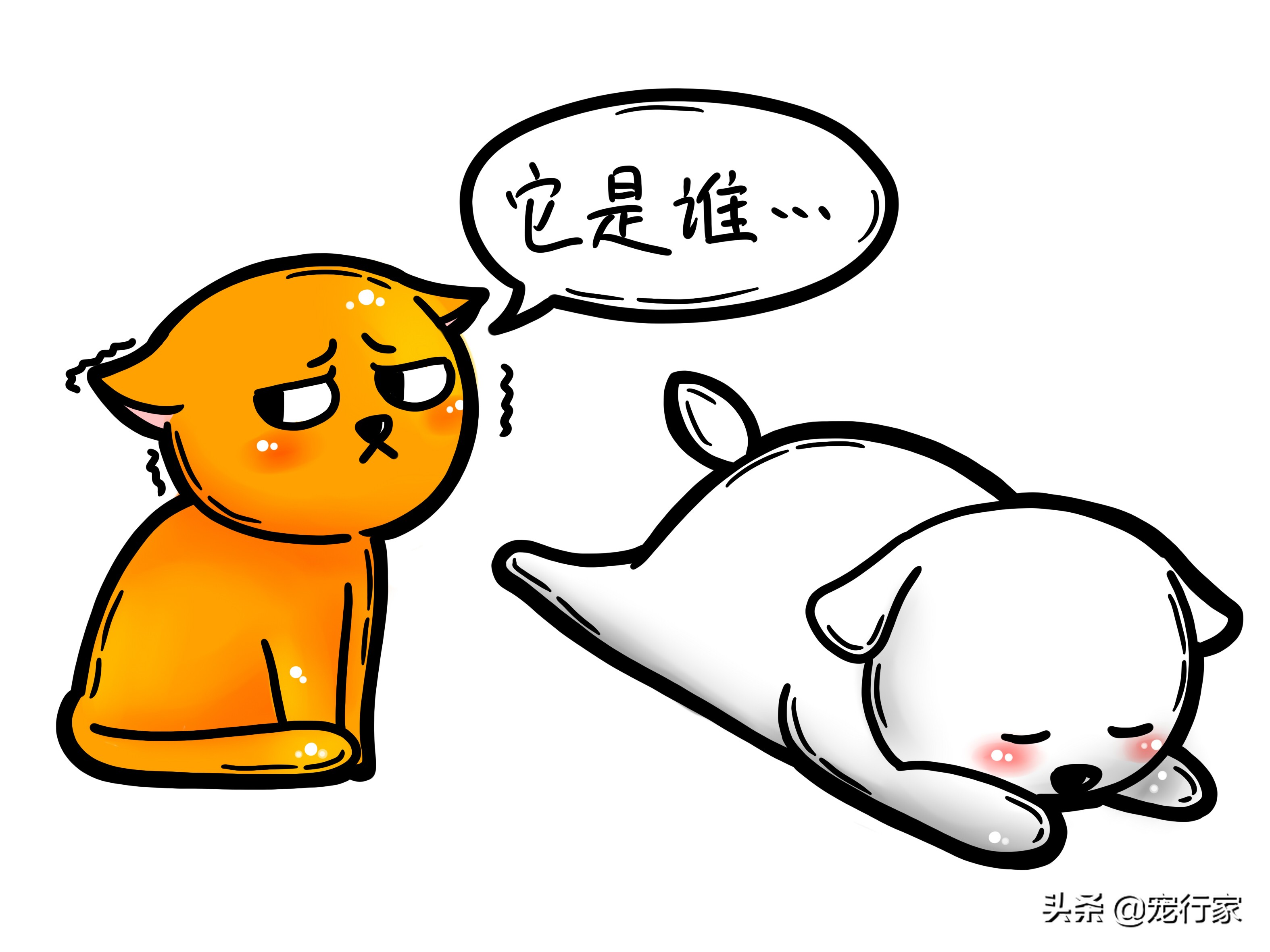 被猫咬伤发病几率高吗,猫被猫咬了是怎么回事