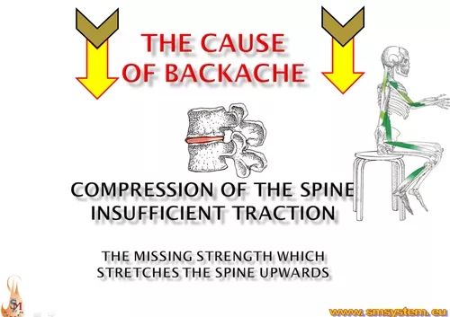 完美的运动模式——肌肉链运动