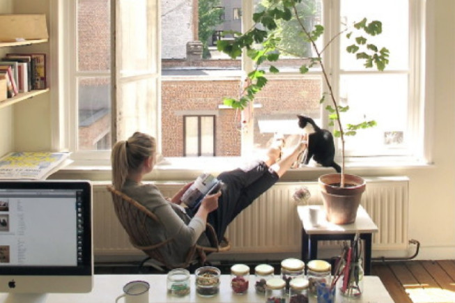 5个猫咪喂养技巧对猫咪有大益处,铲屎官教你科学养猫图片