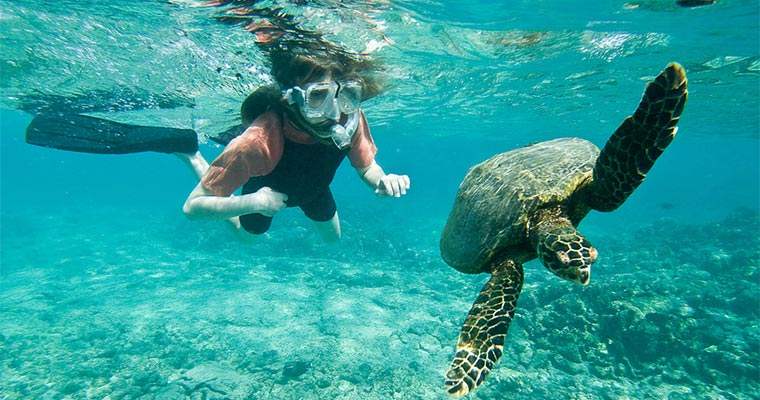 不会游泳去夏威夷玩什么,除了游泳还能去哪儿玩儿