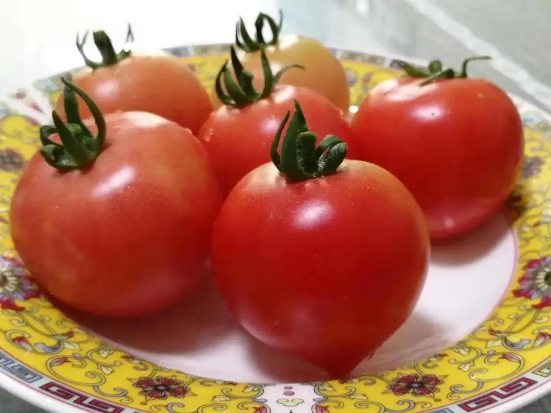 妈妈的西红柿,妈妈留的番茄酱