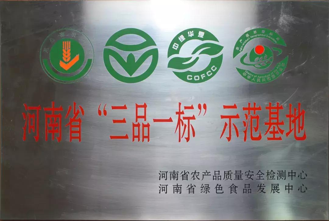 30元一颗的“灵宝金苹果”,如何在跌宕起伏的水果行业稳固生存?