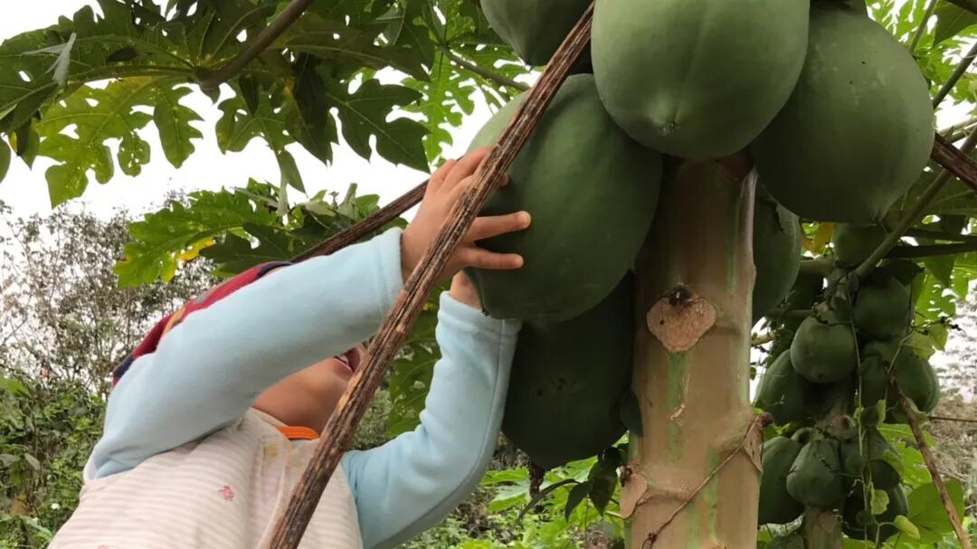 小玉老师的舒展瑜伽训练课,小玉瑜伽视频教程