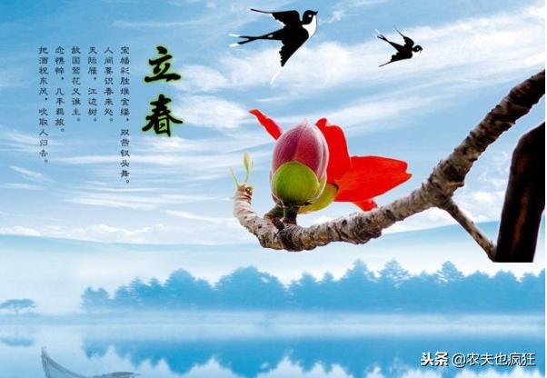 老农说“百年难逢岁交春”，明年是难得好年成，有道理吗？