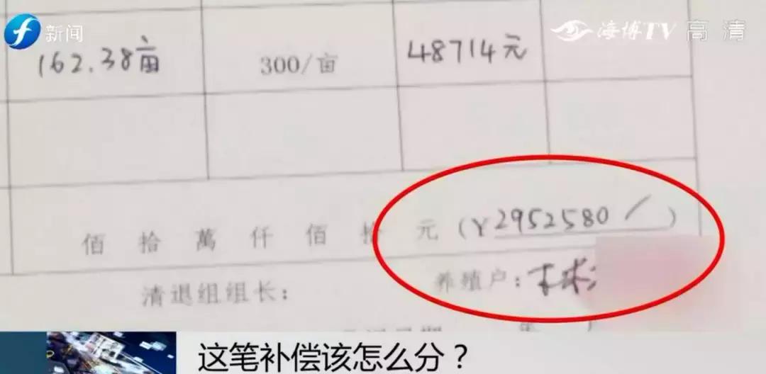 闹心|眼看快收成了，却遇上了麻烦事！这笔清退补偿究竟该怎么分？