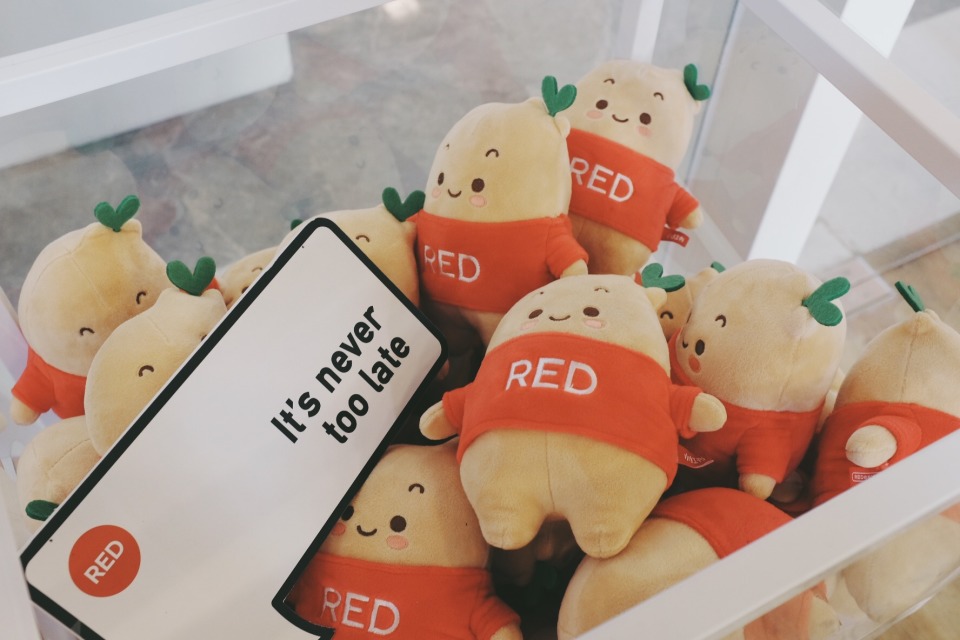 小红书推广营销的几个要点,小红书营销推广有哪些策略