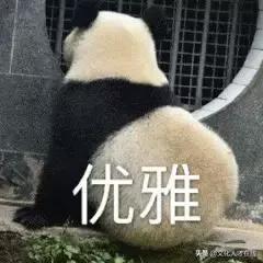 遛狗师年薪30万?剥虾师、收纳师……现在年轻人赚钱路子太野