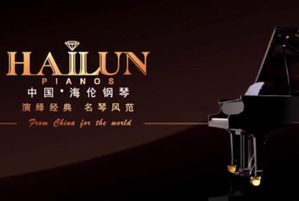 海伦钢琴股价深度分析,海伦钢琴股价实情