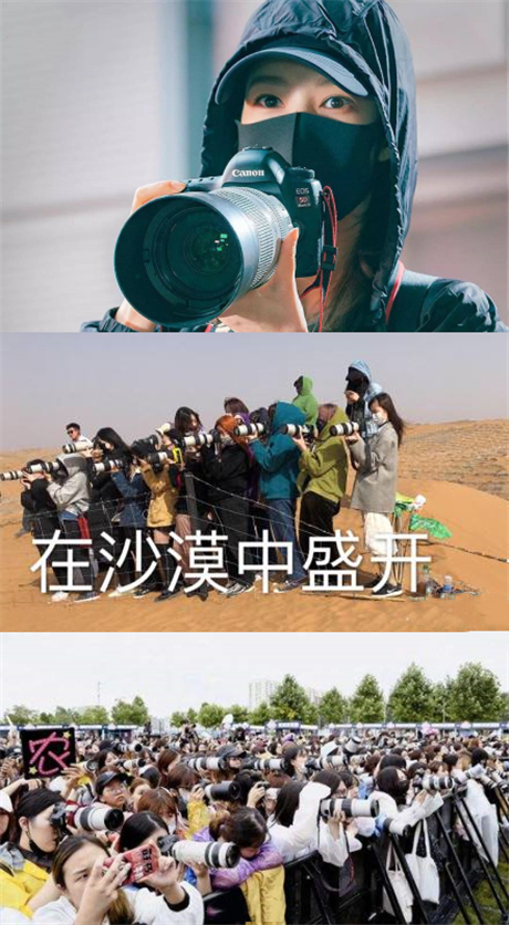 张雨绮朱一龙,张雨绮朱一龙蔡徐坤