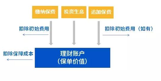 买了保险却不知道买哪几种,万能险有不兑付的风险吗