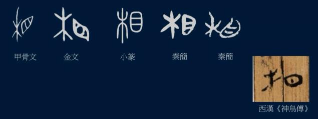 黄简讲九十九种笔势的写法示范,黄简讲笔势与体势