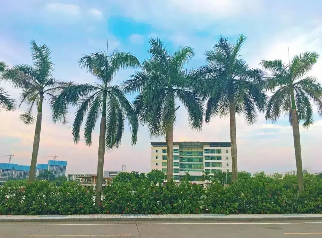 广东有哪些公办专科院校及录取线,广东2021专科390分能上什么大学