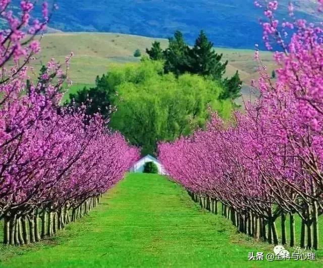 善良是一个人最大的信仰,善良是一个人最大的财富