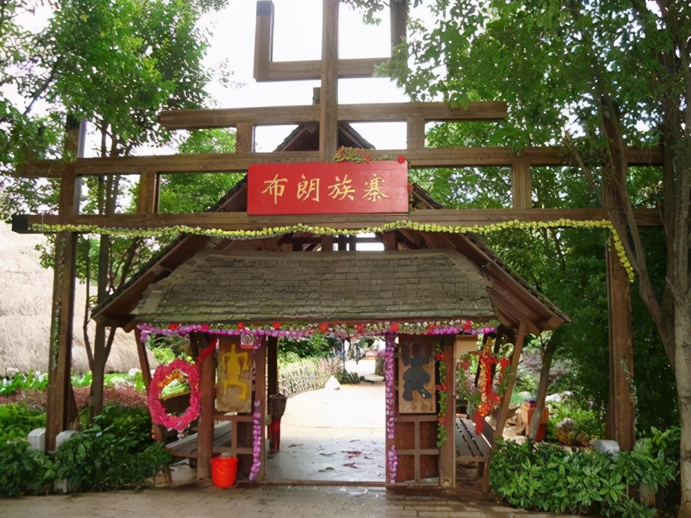 千年古树云南普洱茶,千年古树茶布朗山