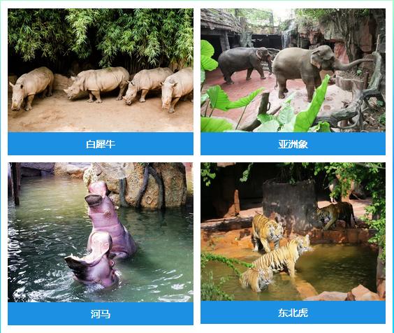 佛山亲子游玩团购推荐,佛山亲子套票一大一小