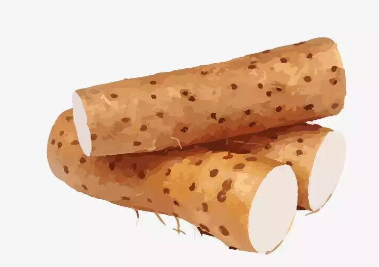 正宗怀山药,道地食养怀山药