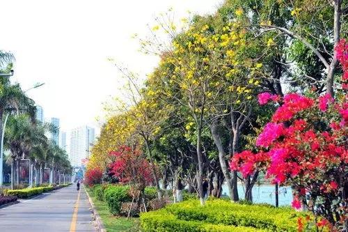 厦门什么地方吹海风吃着美食,厦门必吃海鲜吹海风