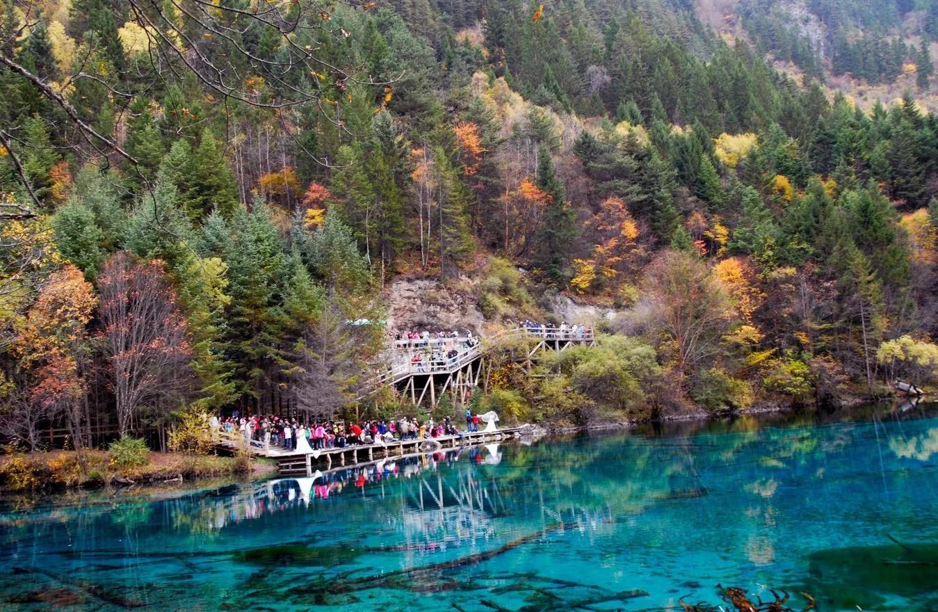 重庆，成都外围自助游后感悟CDBB98