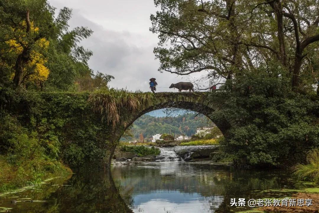 涨知识生肖,牛年感悟牛文化