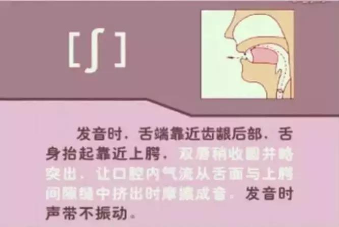 音标发音48个正确发音口型,小学英语音标发音48个口型