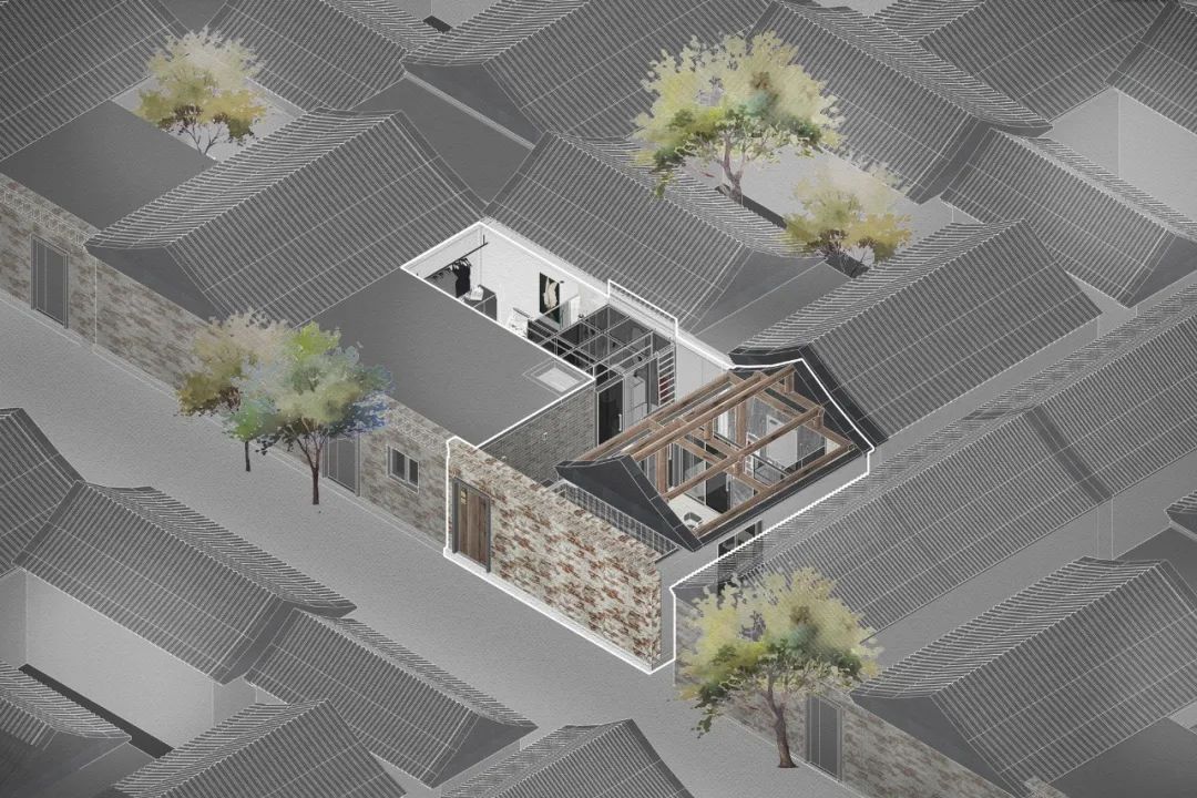 北京姑娘继承胡同老房，地板铺镜子、浴厕全透明，一个人住太爽