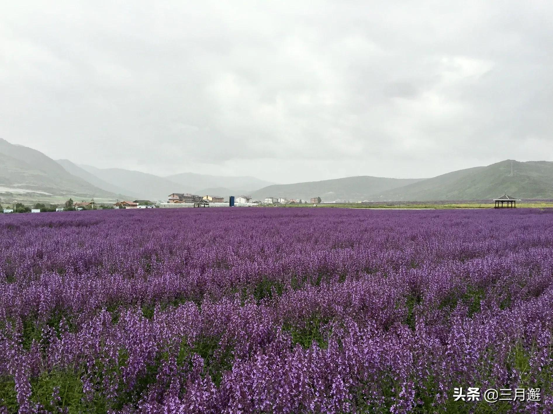 美丽松潘历史文化,美丽松潘简谱