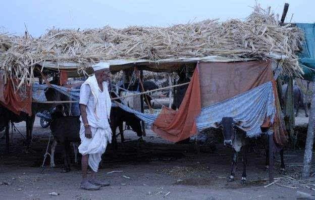 印度面临缺水难题,印度南水北调缺水吗